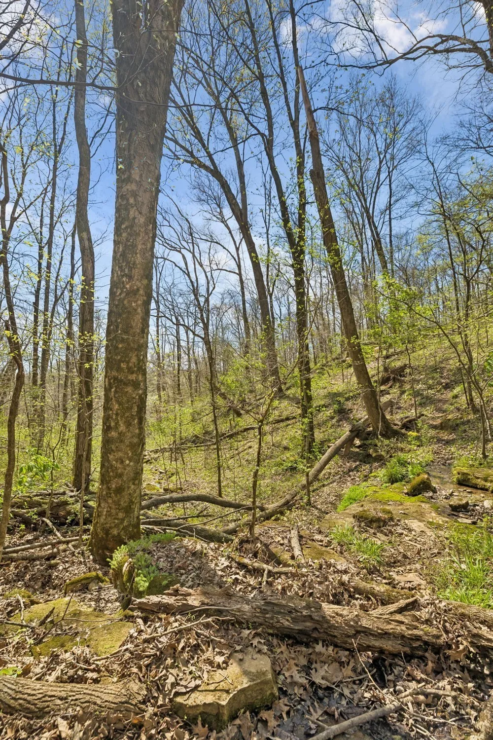 0 Turney Rd Auburntown, TN 37016