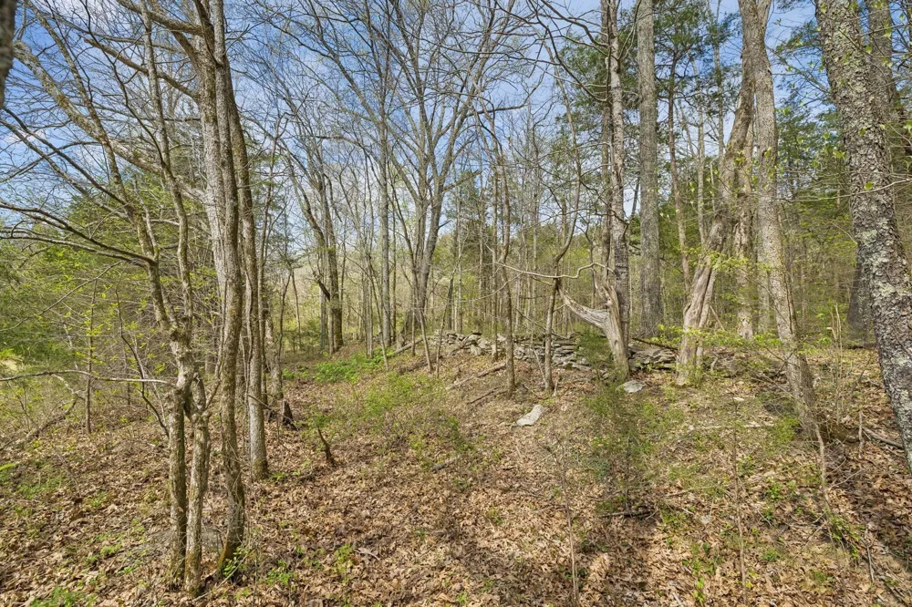 0 Turney Rd Auburntown, TN 37016