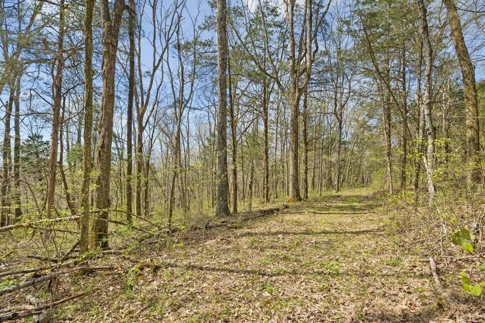 0 Turney Rd Auburntown, TN 37016