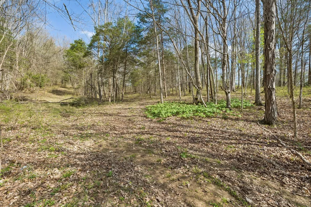 0 Turney Rd Auburntown, TN 37016