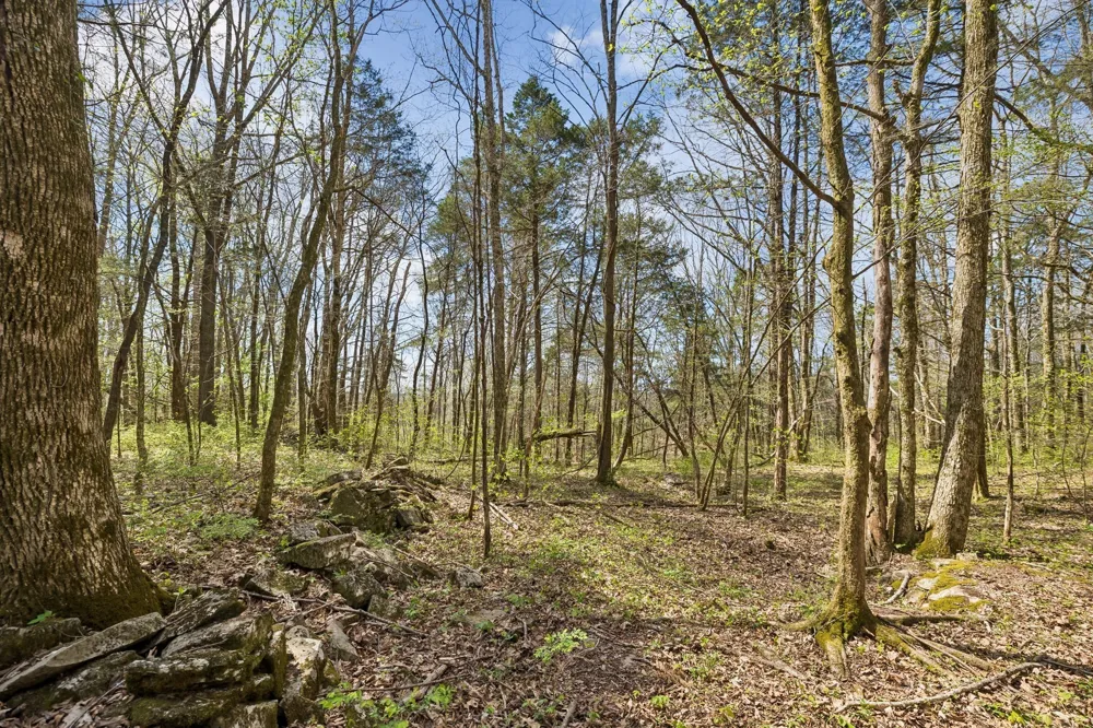 0 Turney Rd Auburntown, TN 37016