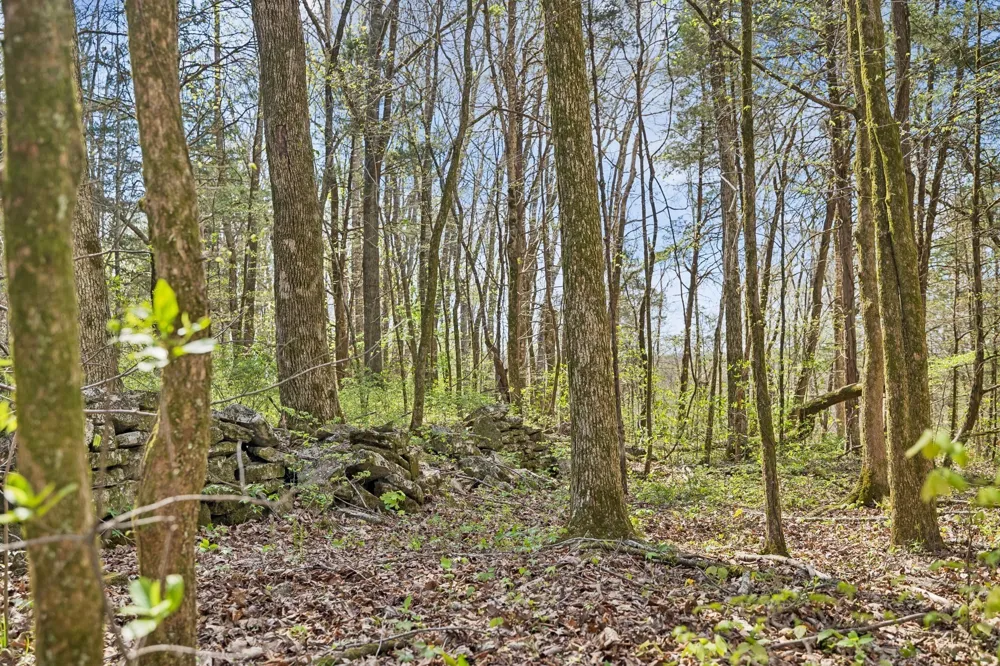 0 Turney Rd Auburntown, TN 37016