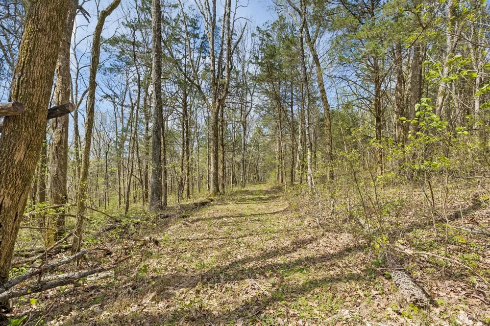 0 Turney Rd Auburntown, TN 37016