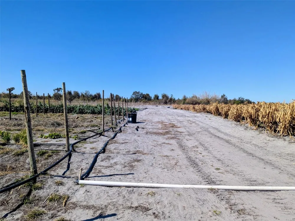 46683 PEEPLES LANE Wauchula, FL 33873