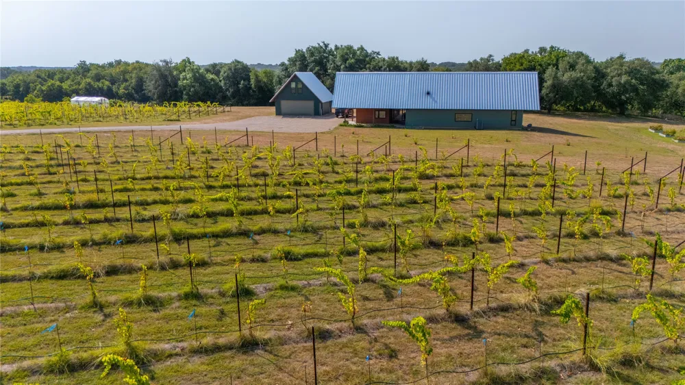 25270 East State Highway 6 Hico, TX 76457
