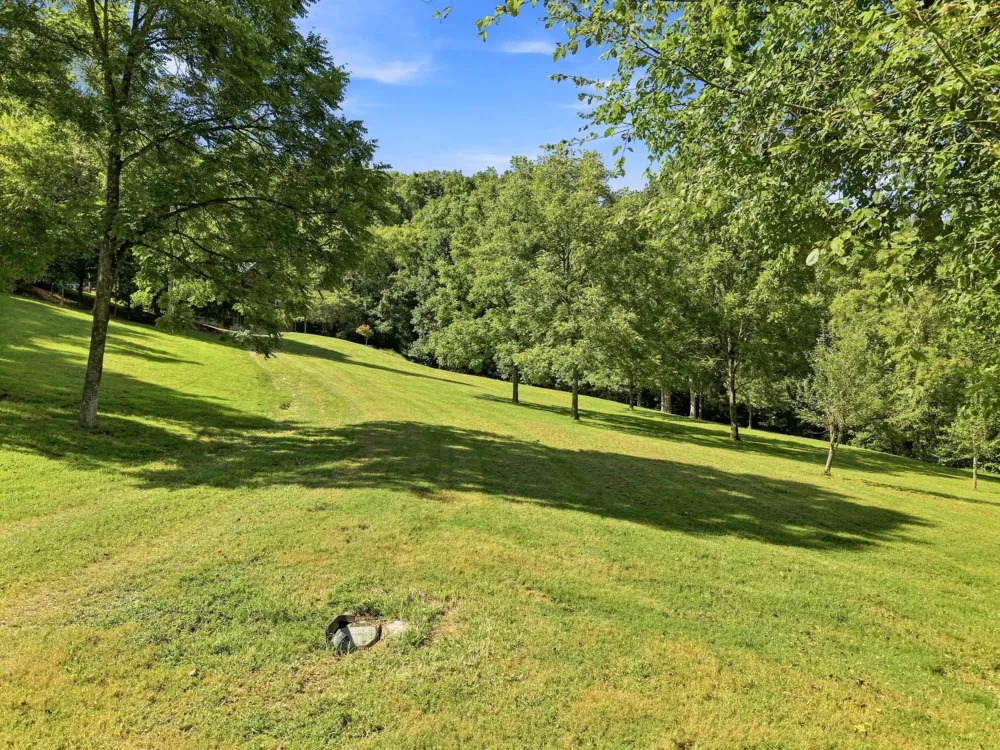 59 Russell Ln Pleasant Shade, TN 37145