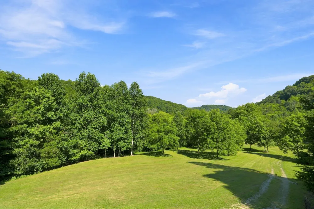 59 Russell Ln Pleasant Shade, TN 37145