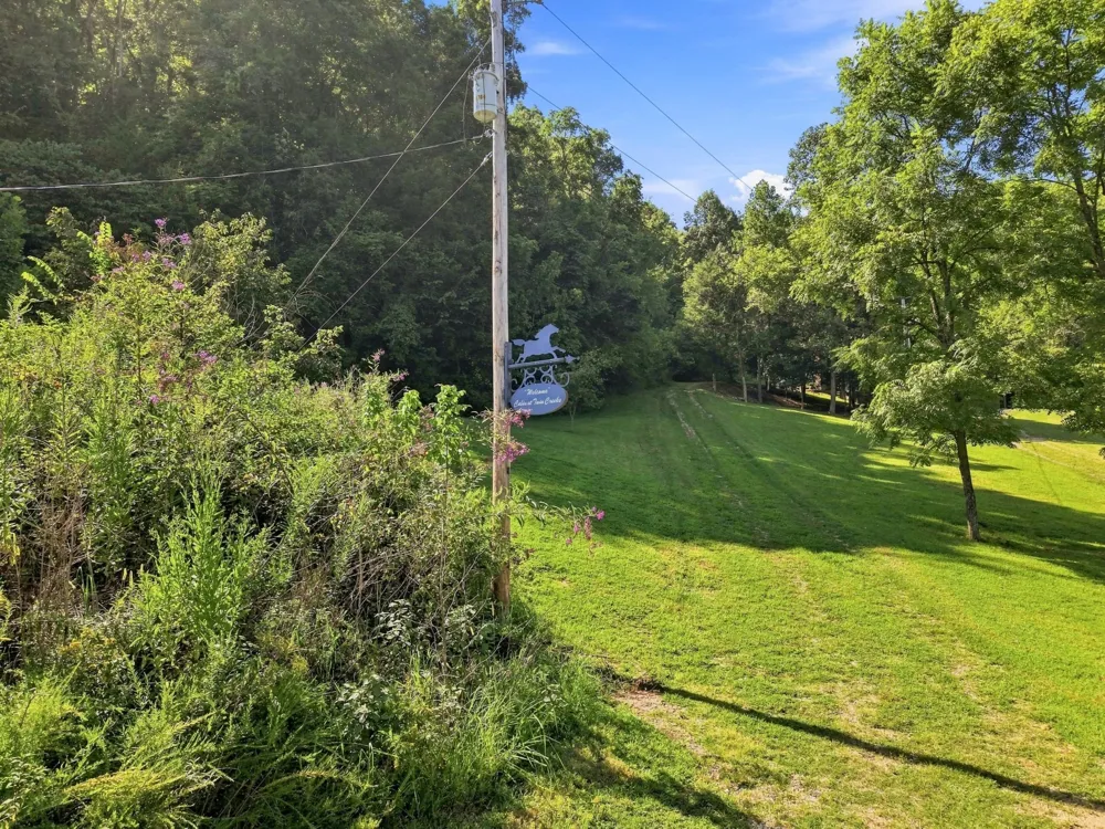 59 Russell Ln Pleasant Shade, TN 37145