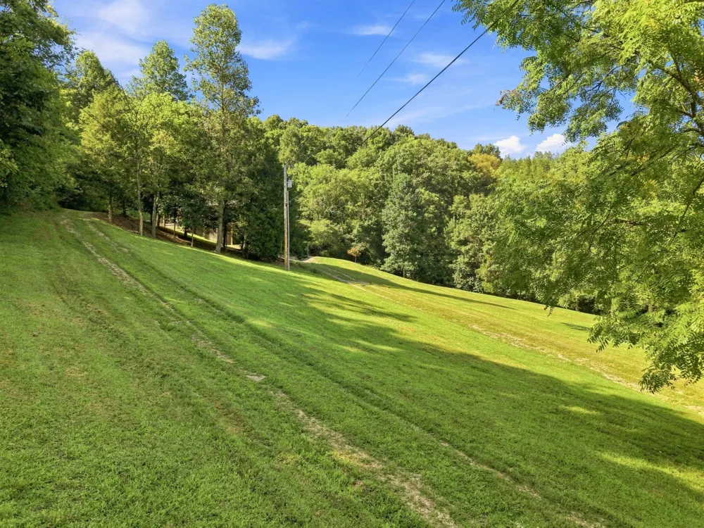 59 Russell Ln Pleasant Shade, TN 37145