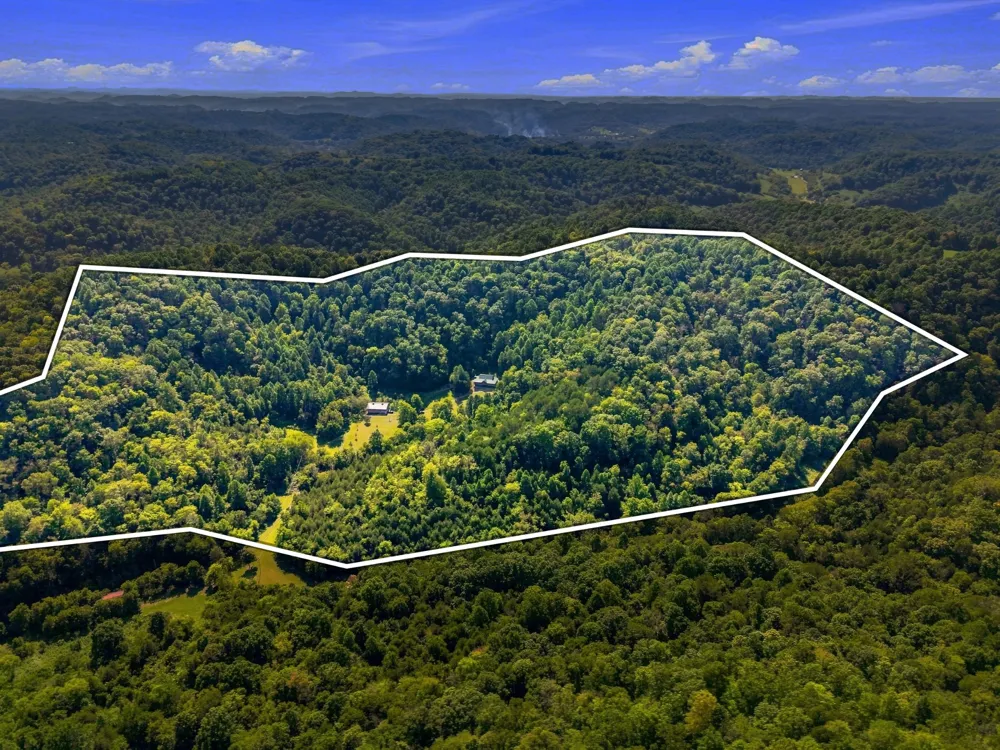 59 Russell Ln Pleasant Shade, TN 37145