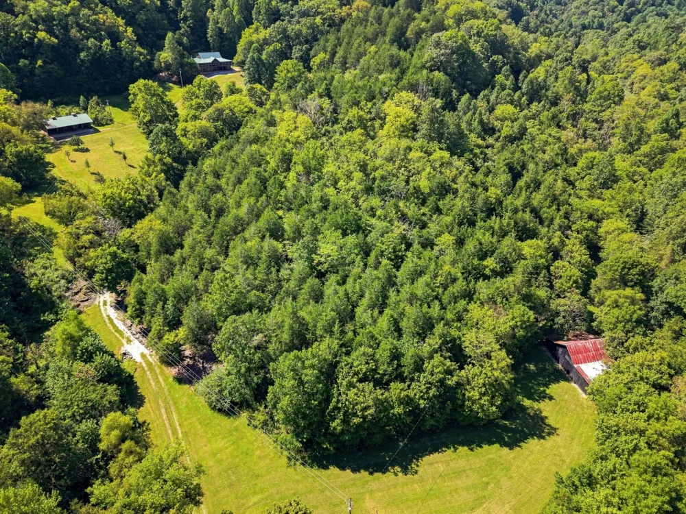 59 Russell Ln Pleasant Shade, TN 37145
