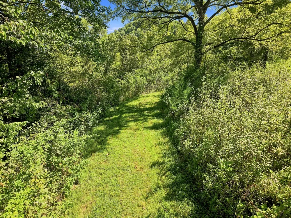 59 Russell Ln Pleasant Shade, TN 37145