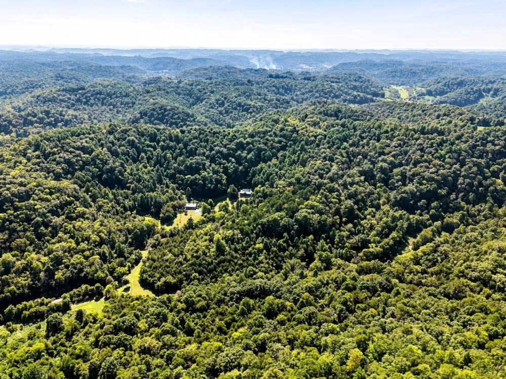 59 Russell Ln Pleasant Shade, TN 37145