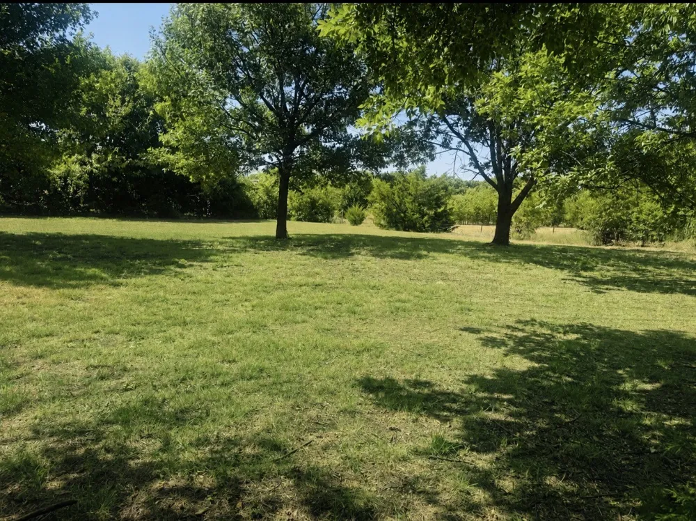 1731 Mockingbird Lane Midlothian, TX 76065