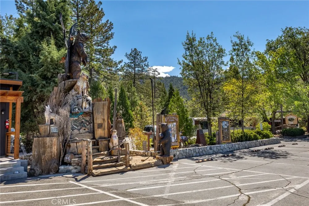 53435 Idyllbrook Drive Idyllwild, CA 92549