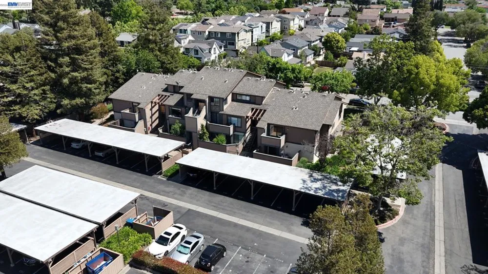 277 Hackamore Cmn Fremont, CA 94539