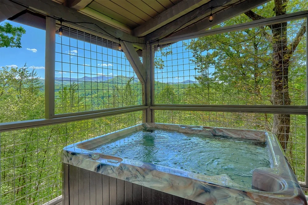 461 Sassafras Trl Sevierville, TN 37876