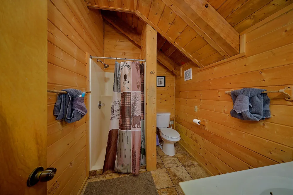 461 Sassafras Trl Sevierville, TN 37876