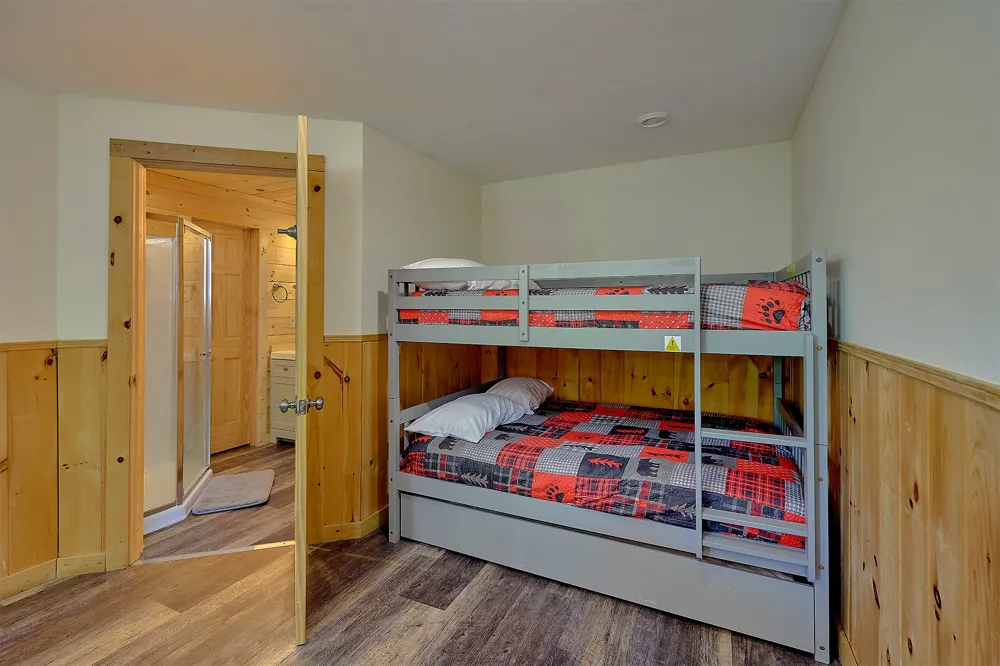 461 Sassafras Trl Sevierville, TN 37876