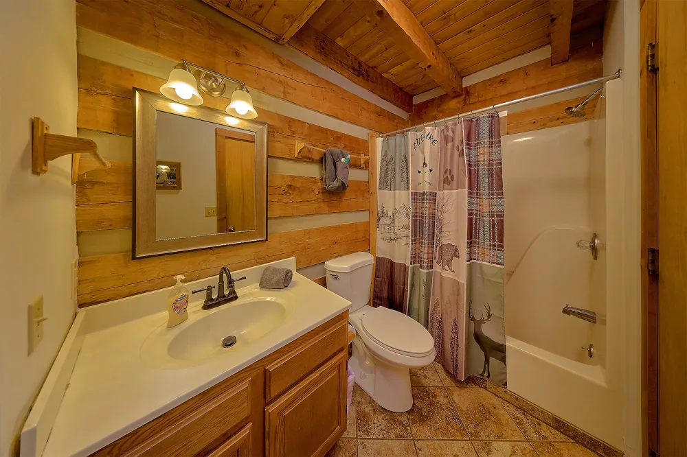 461 Sassafras Trl Sevierville, TN 37876
