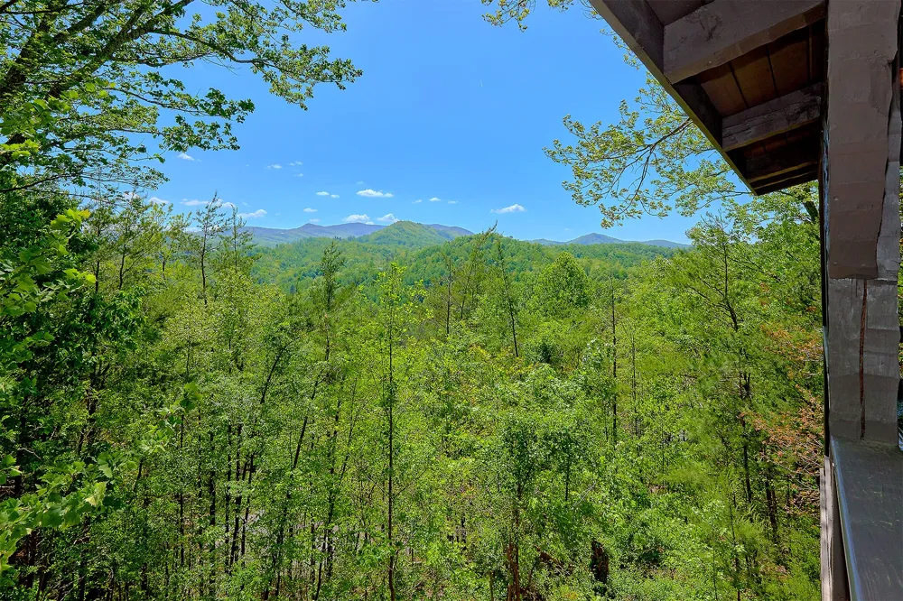 461 Sassafras Trl Sevierville, TN 37876