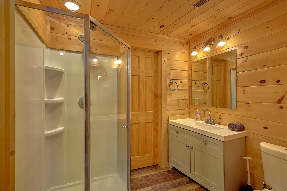 461 Sassafras Trl Sevierville, TN 37876