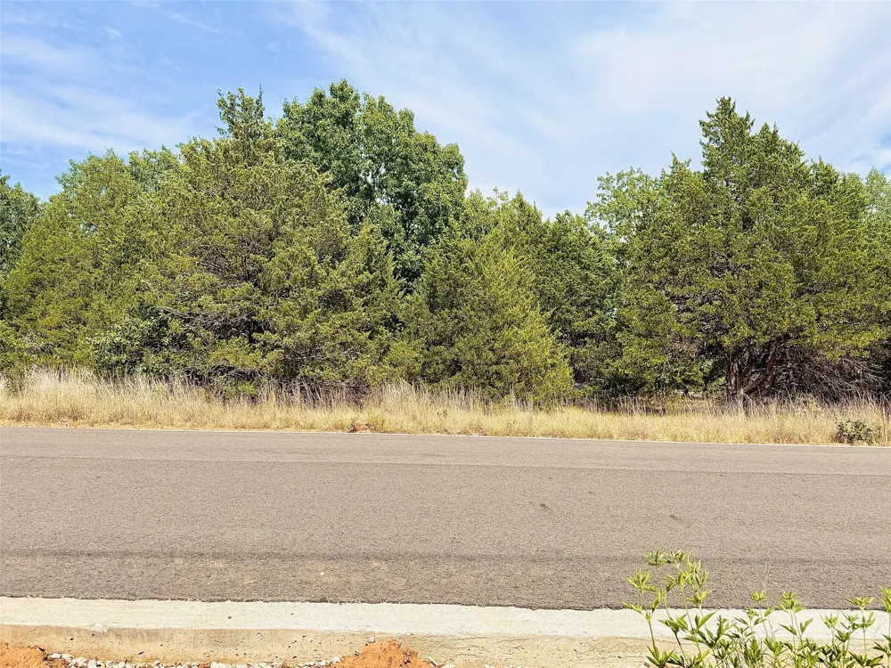 47 Reflection Bay Boulevard Gordonville, TX 76245
