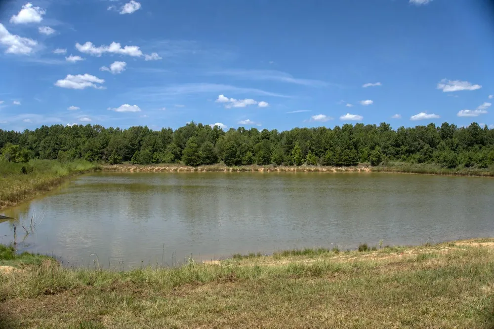 1700 Fm 3460 Road Shepherd, TX 77371