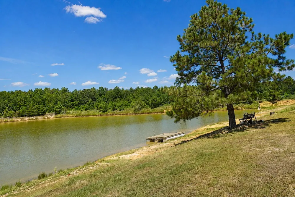 1700 Fm 3460 Road Shepherd, TX 77371