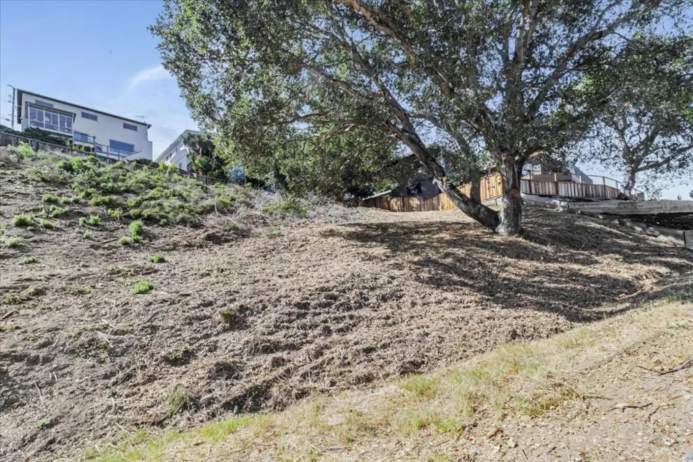 3325 Lower Lock Belmont, CA 94002