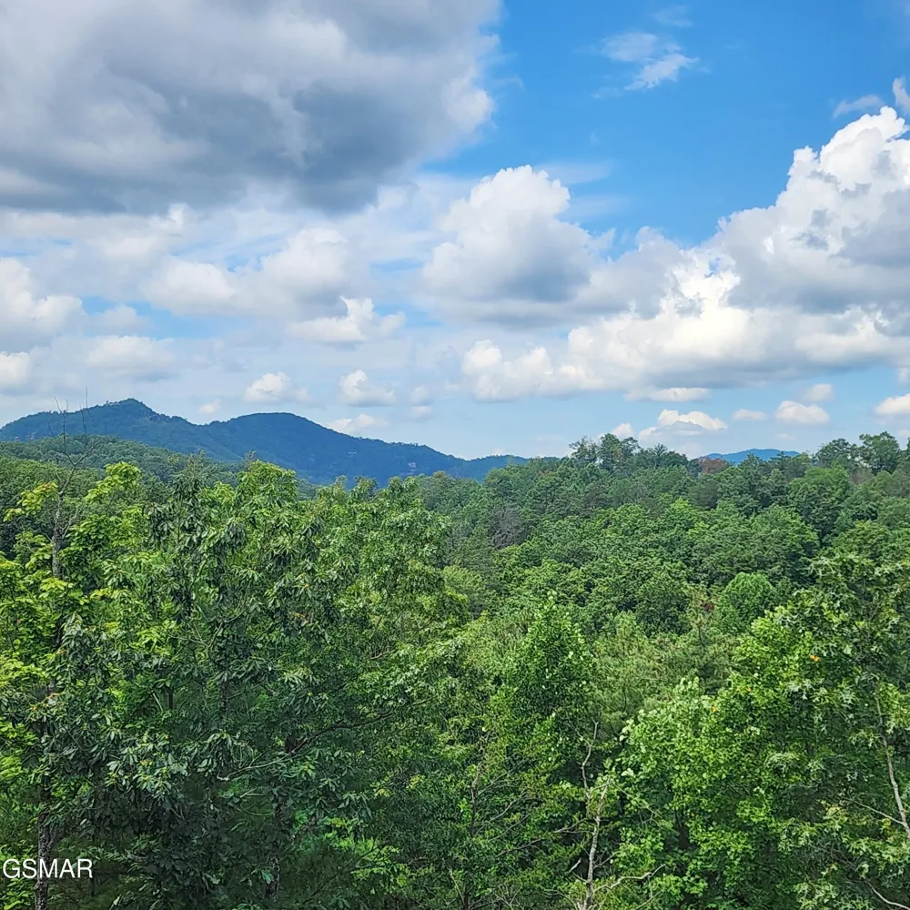 1970 Spurling Road Sevierville, TN 37876