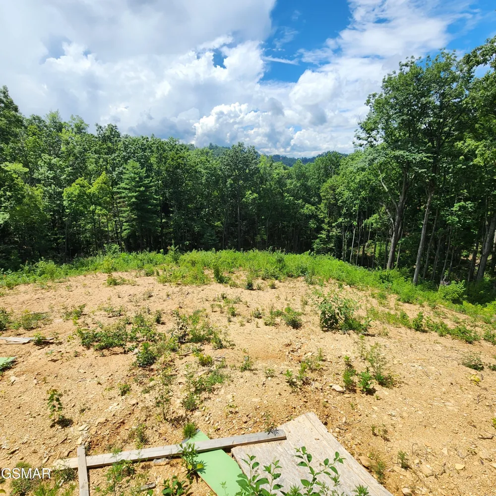 1970 Spurling Road Sevierville, TN 37876