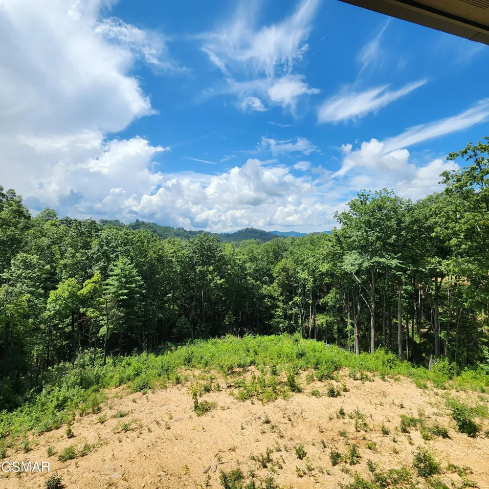 1970 Spurling Road Sevierville, TN 37876