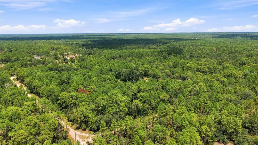5257 SATIN TERRACE Dunnellon, FL 34432