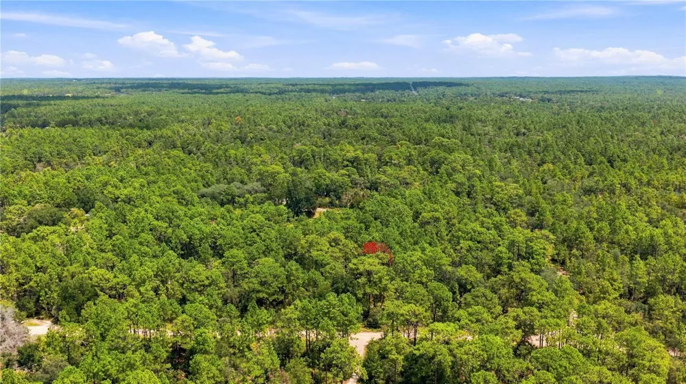 5257 SATIN TERRACE Dunnellon, FL 34432