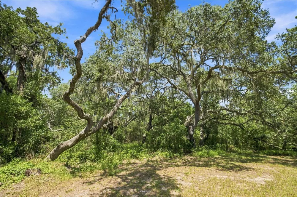 5257 SATIN TERRACE Dunnellon, FL 34432