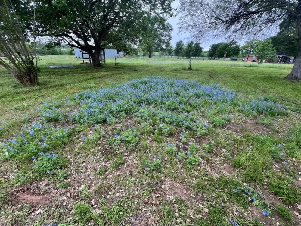 10250 Jenny Lynn Lane Chappell Hill, TX 77426