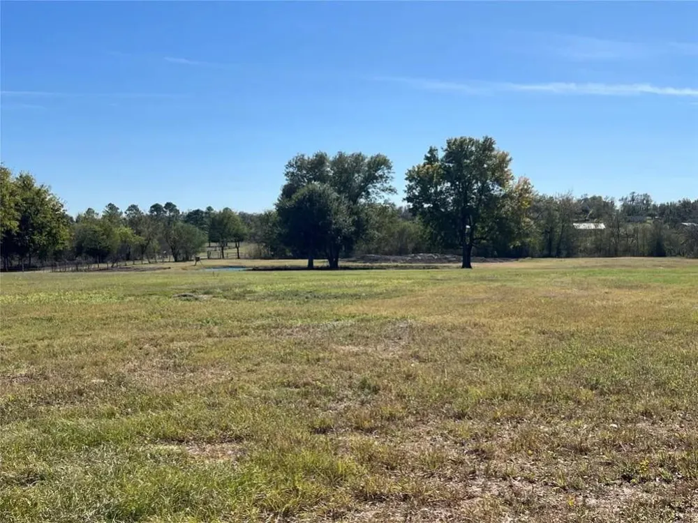 10250 Jenny Lynn Lane Chappell Hill, TX 77426