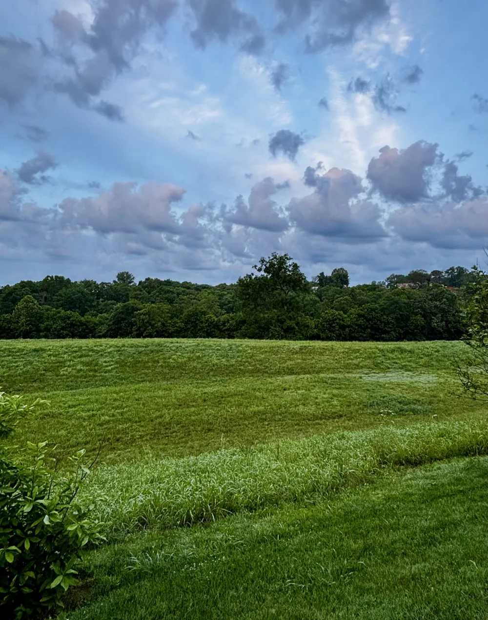 729 Prairie View Dr Columbia, TN 38401