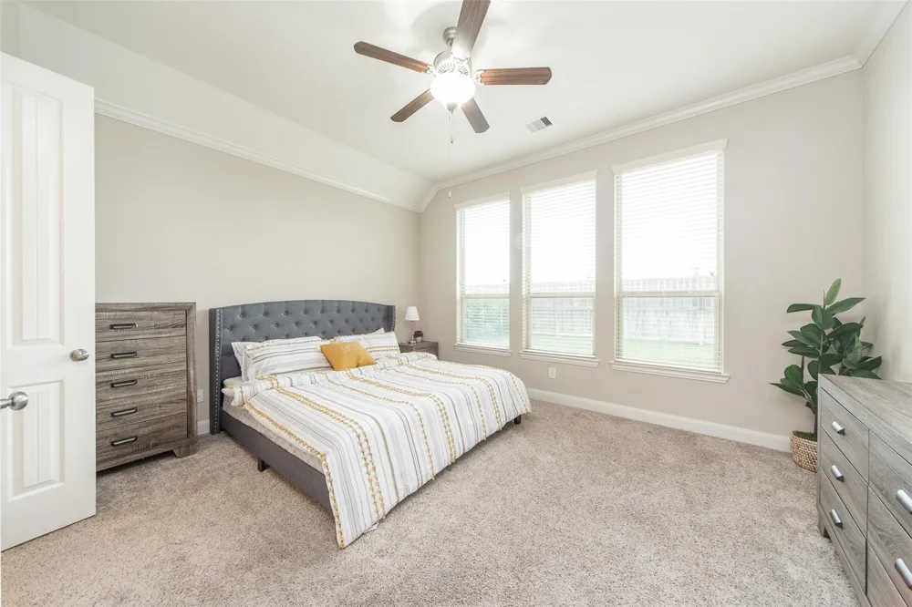 19738 Tacoma Bluff Drive Katy, TX 77433