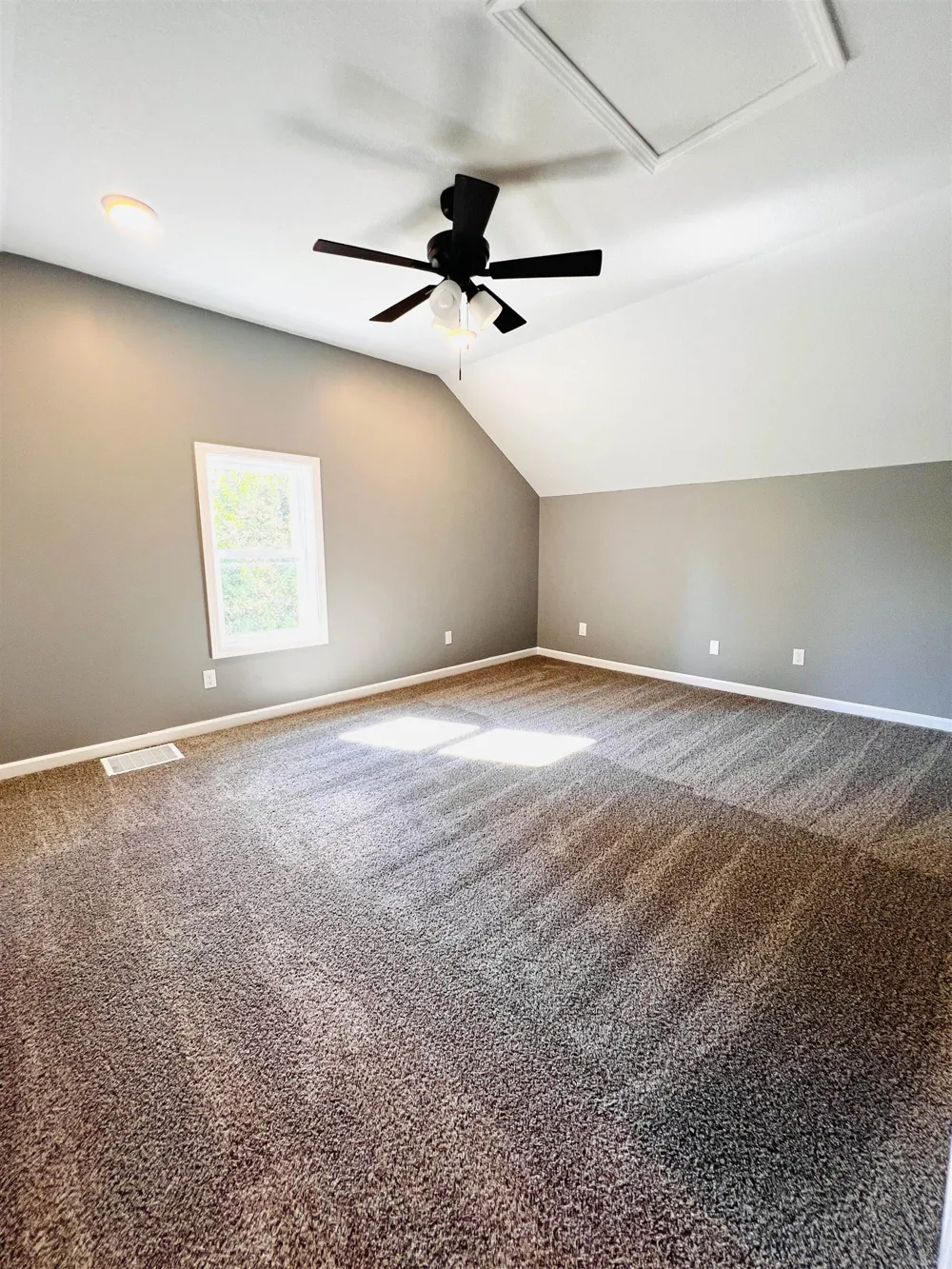 220 First Street Manton City, MI 49663