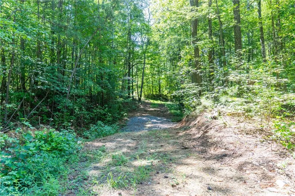 75 Black Forest Drive Dallas, GA 30132