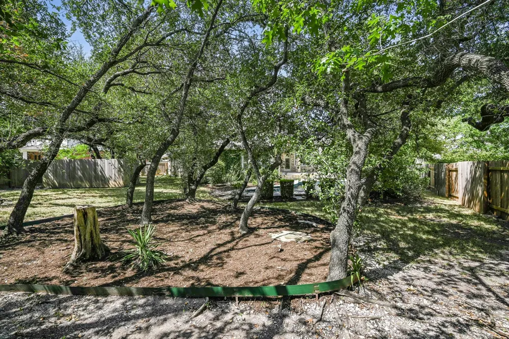 2229 Buena Vista Lane Round Rock, TX 78665