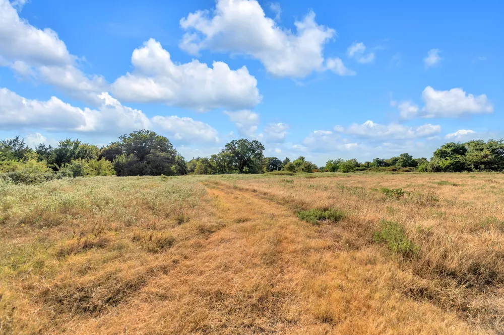 2190 County Road 1215 Savoy, TX 75479