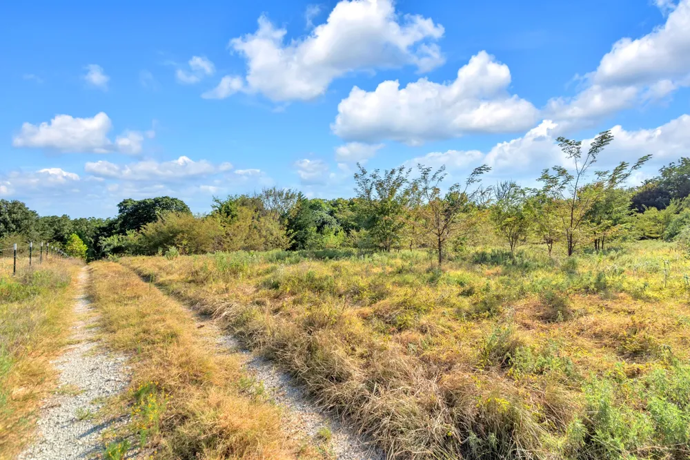2190 County Road 1215 Savoy, TX 75479