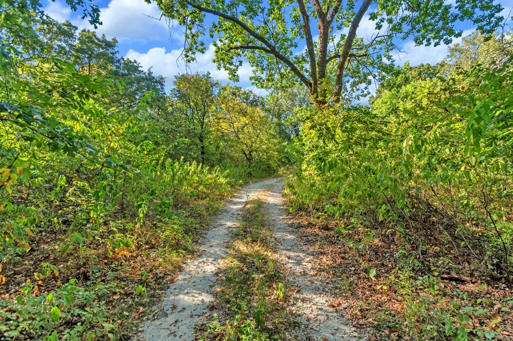 2190 County Road 1215 Savoy, TX 75479
