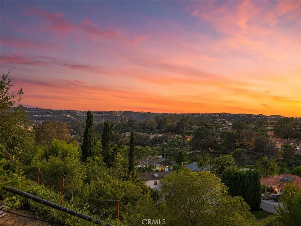 29481 Via Valverde Laguna Niguel, CA 92677