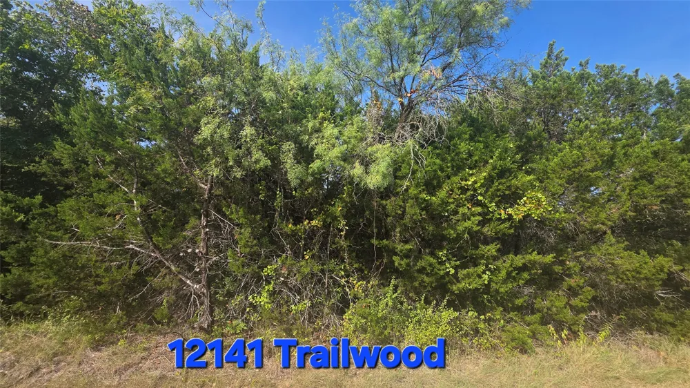 12141 Trailwood Drive Whitney, TX 76692