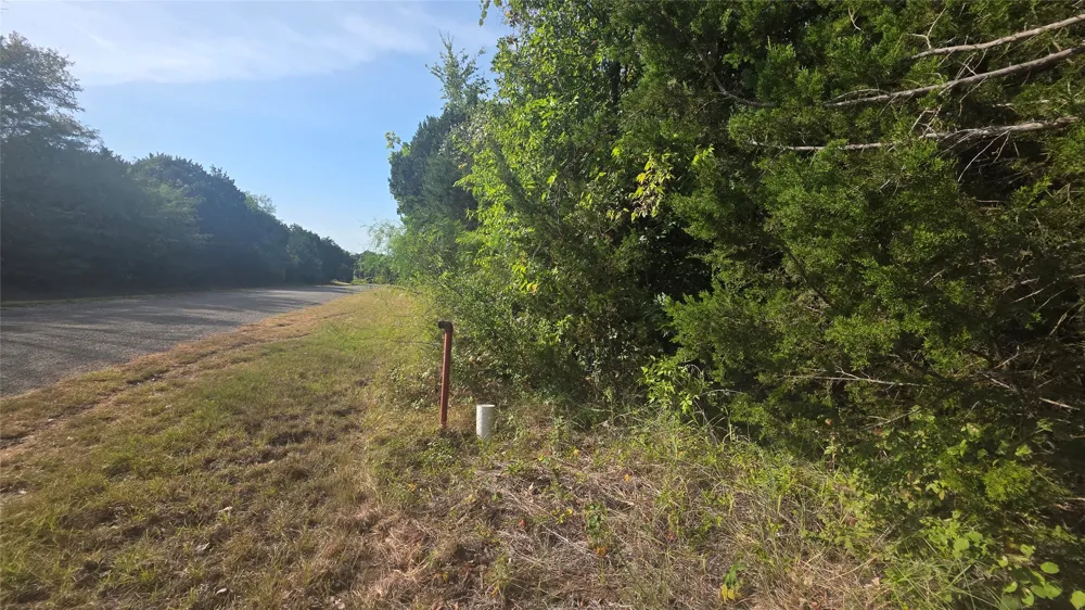 12141 Trailwood Drive Whitney, TX 76692