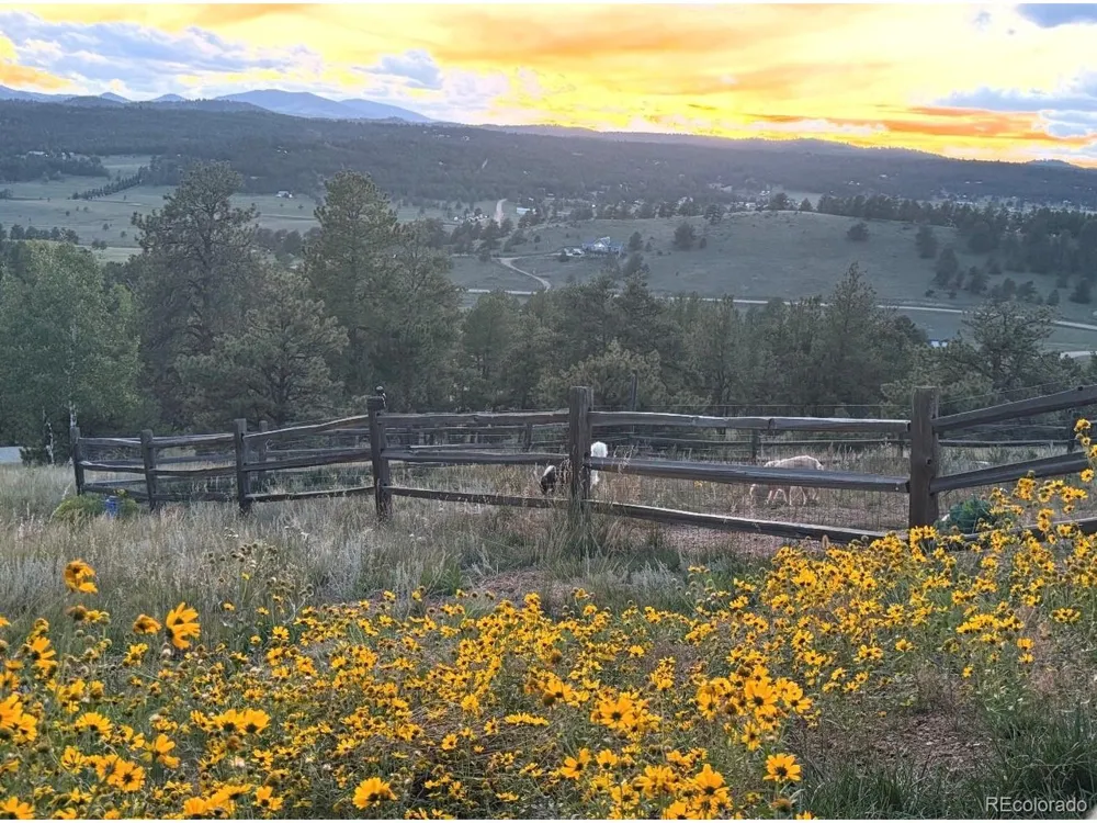 127 Carlton Circle Florissant, CO 80816